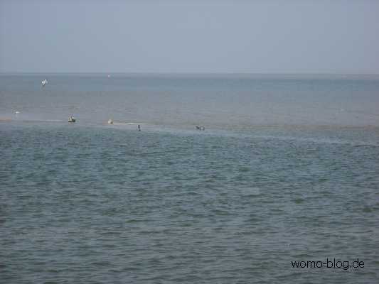 DSCF0471.JPG
